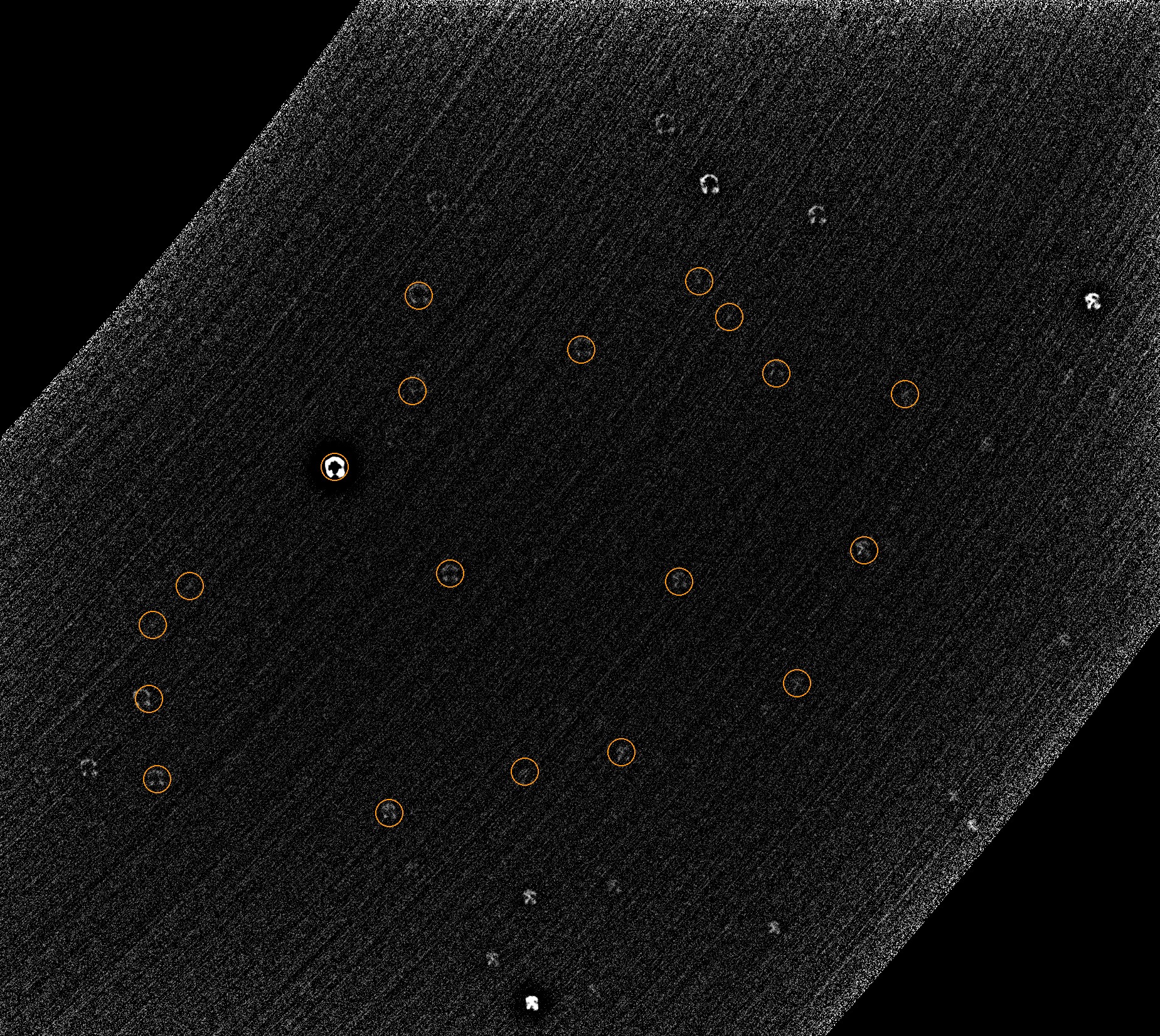 The de-rotated field, with the 19 sources counted for this estimate circled. Every circle is one star; the detector originally found 35 blobs here, because each star is drawn as a broken ring rather than a dot, and the rings fragment.