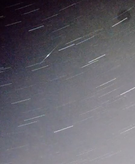 Short Perseid with a tapered head